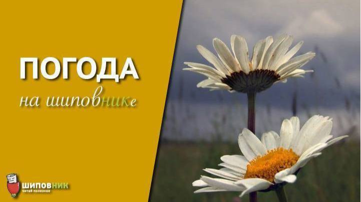 погода лето_16x9wiofdjkhgfnb